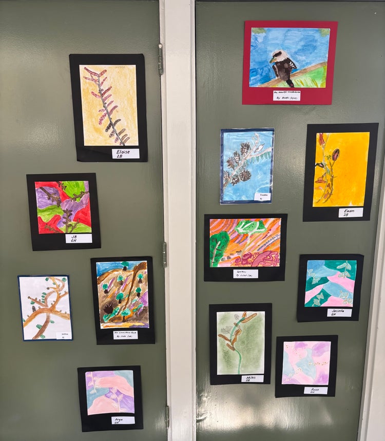 Indigenous Connections Artwork