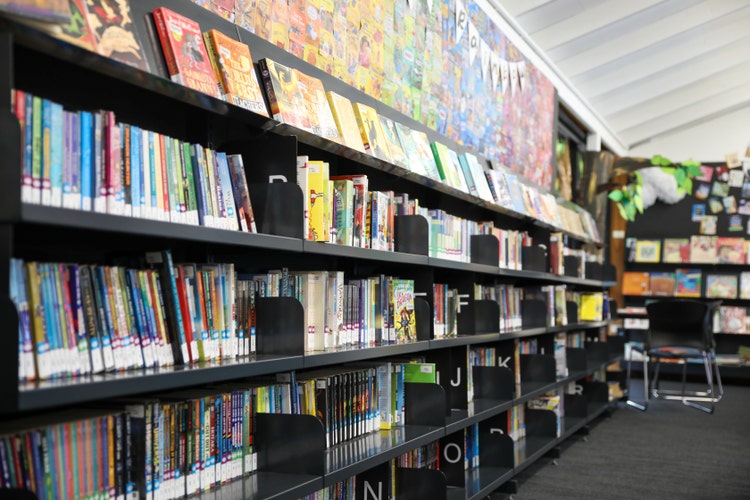 Bookshelves in the library